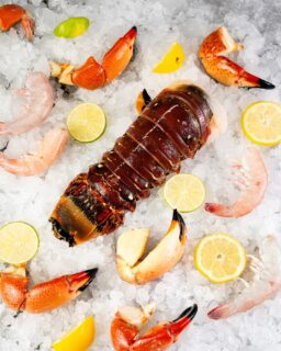 Frescura que no necesita filtro.
Langosta, tenazas y camarones del Golfo de México, conservados a temperatura perfecta desde el mar hasta tu mesa.
✈️ Envíos a todo México.
#SantoCangrejo #FrescuraReal #santocangrejo #campeche #monterrey