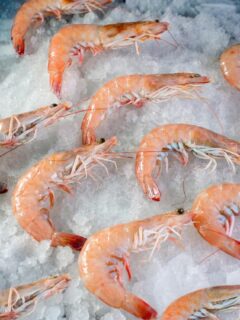 Aquí no hay todo tipo de camarón.
Solo camarón rosado silvestre.
Porque cuando el producto es bueno, no se mezcla. #shrimp #camaron #campeche #fishing #wildcaught