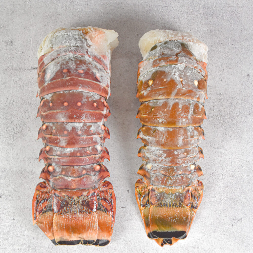 Cola de Langosta Mediana