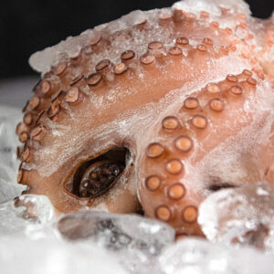 Pulpo Cocido